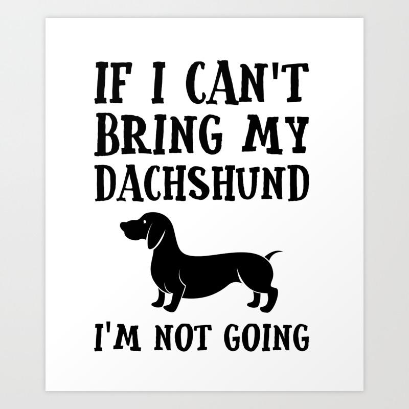 funny dachshund