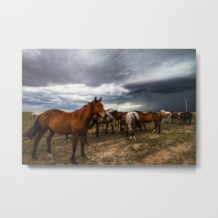 Pride - Horse Watches Over Herd as Storm Approaches Metal Print