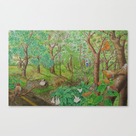 A Day of Forest (1). (walk into the forest) Canvas Print