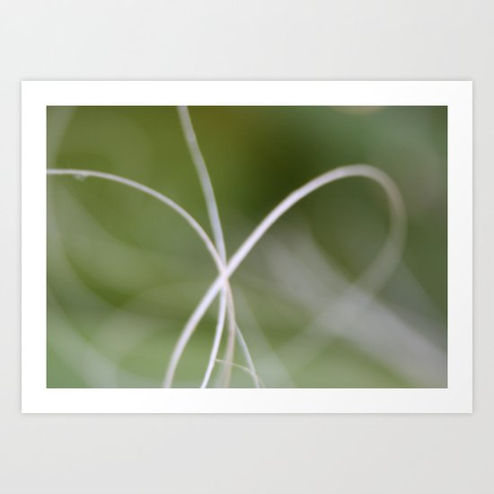 Macro of A Green Palm Tree Leaf Fond Art Print