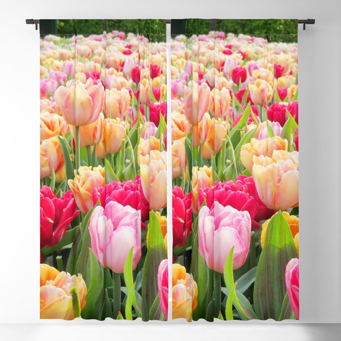 Tulips Field 56 Blackout Curtain