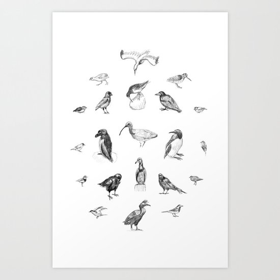 Manx Fauna - (British) Birds Art Print