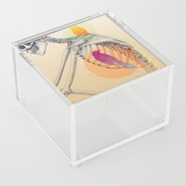 Bird Cage Acrylic Box
