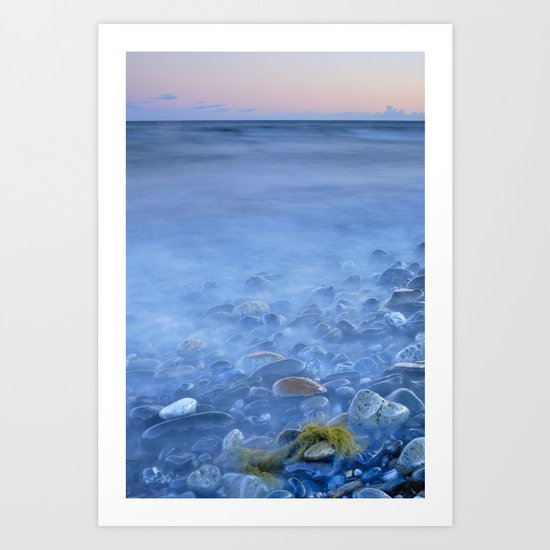 Green kelp on the rock Art Print