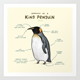 Anatomy of a King Penguin Art Print