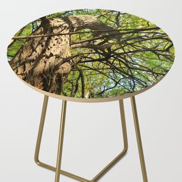 Curved Growth Side Table