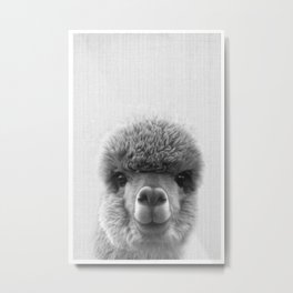 Alpaca Smile Metal Print | Film, Llama, Photo, Black and White, Digitalmanipulation, Alpacaheadshot, Blackandwhite, Digital, Alpaca, Alpacaportrait 