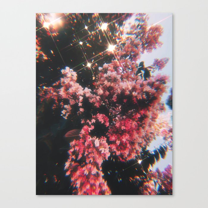 Summer Dreamy Canvas Print