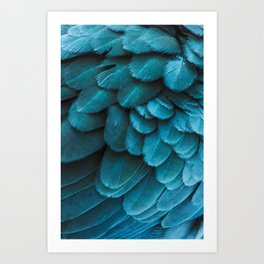 Blue Feathers Art Print