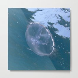 Watercolor Sealife, Jelly Fish 01, St John, USVI Metal Print