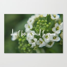 Don't Be Afraid to Grow Canvas Print