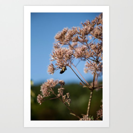 Bee Art Print