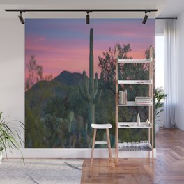 Tucson Arizona Wall Murals For Any Decor Style Society6