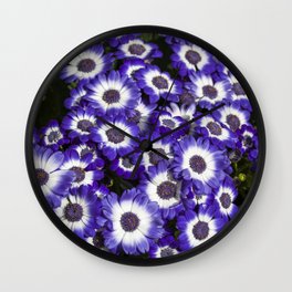 Cineraria Purple Wall Clock | Spring, Flower, Blue, Purple, Photo, Nature, Blooms, Bloom, Flowers, Landscape 