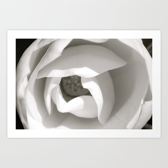Colorless Beauty Art Print