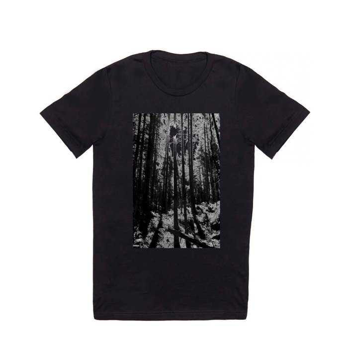 Dark Forest Light in the Scottish Highlands  T Shirt