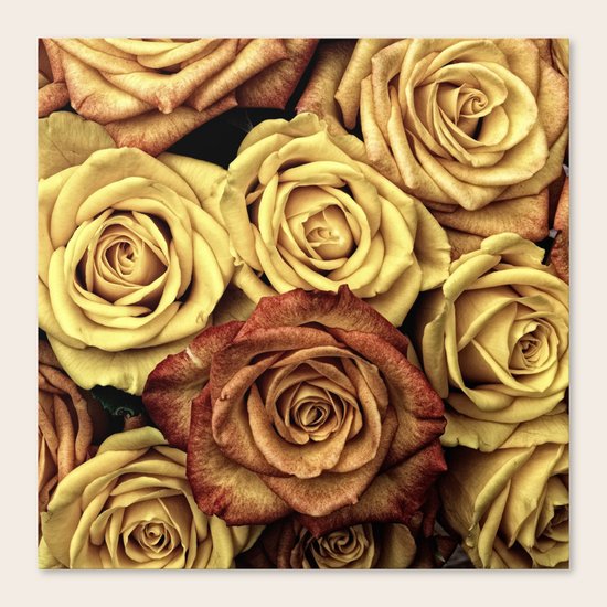 Vintage Roses Canvas Print