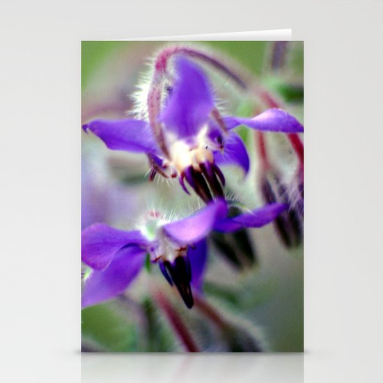 Star Flower Stationery Cards