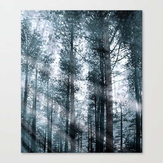 I Talk to the Trees... Canvas Print