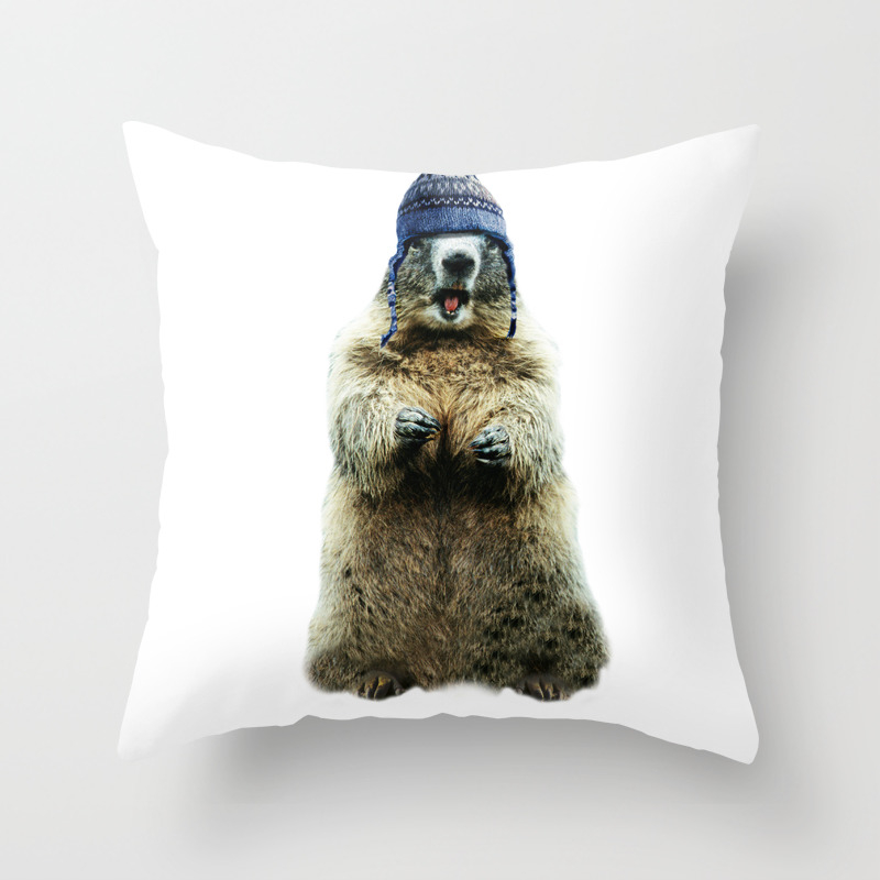 marmot pillow Transportation and Logistics Company News
