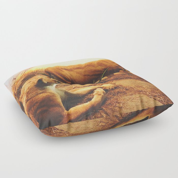 Lioness Floor Pillow