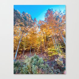 One Fall Moment Canvas Print