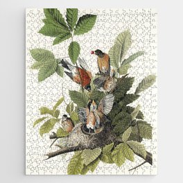 American Robin from Birds of America (1827) by John James Audubon  Jigsaw Puzzle