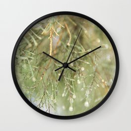 Nature's Beauty - Closeup photograph of a green pine tree - Travel & Botanical Photography Wall Clock