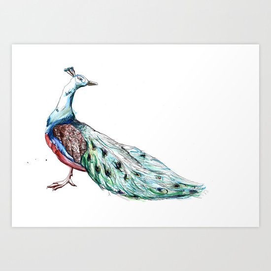 Peacock Art Print