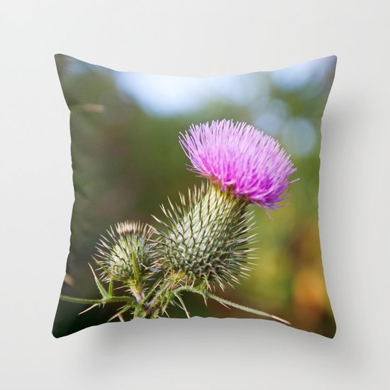 Bull Thistle in Mt. Rogers, Virginia Throw Pillow