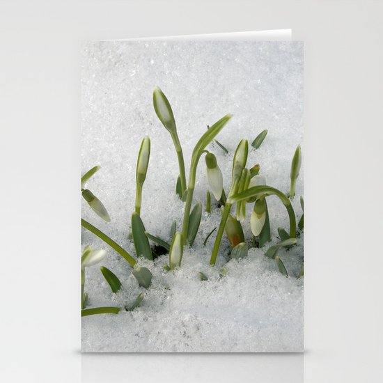 snowdrop II Stationery Cards