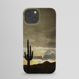 Desert Beauties iPhone Case