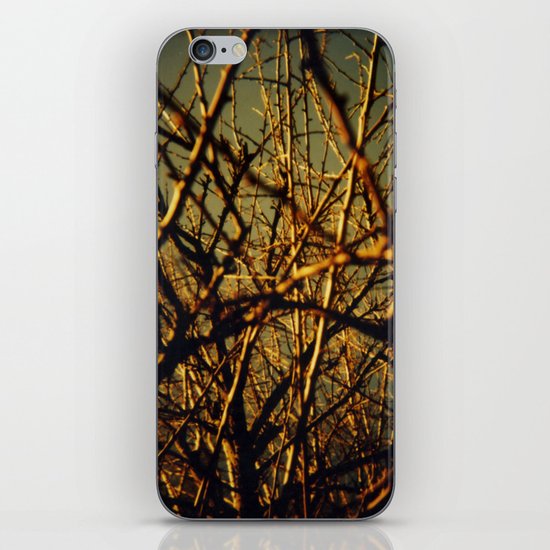 Autumm iPhone & iPod Skin