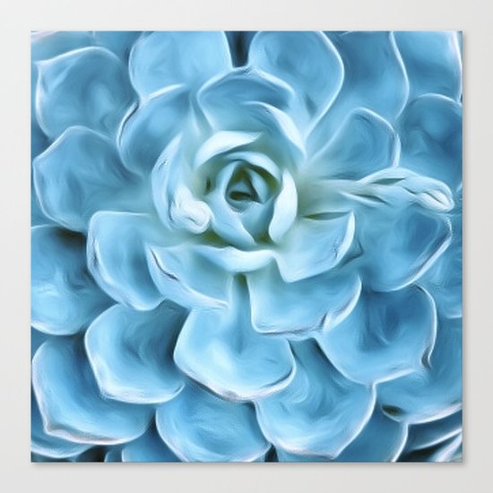 Succulent Macro Blue Canvas Print