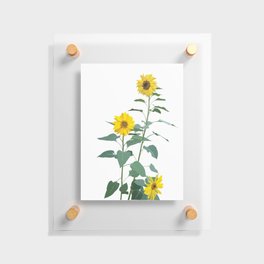 Native Southwest Sunflowers Floating Acrylic Print