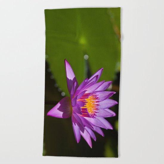 Lotus Beach Towel