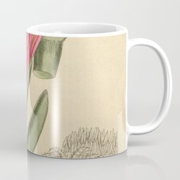 Mesembryanthemum edule 144 8783 Coffee Mug