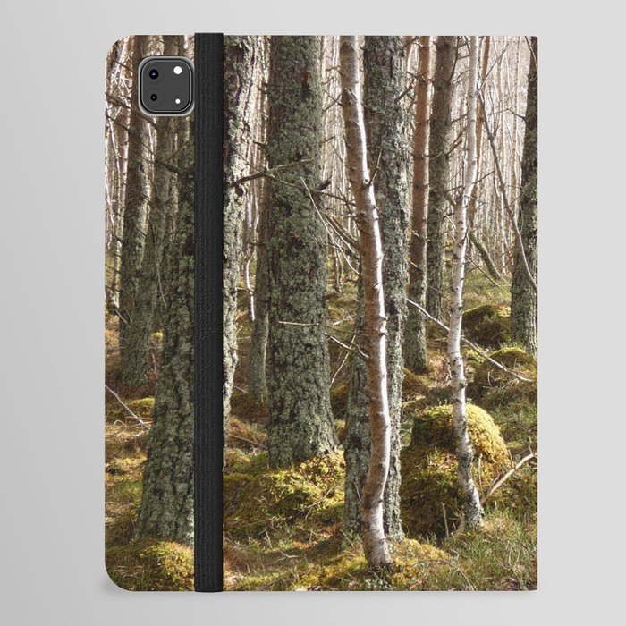 Light and Shadow on a Scottish Highlands Nature Path iPad Folio Case