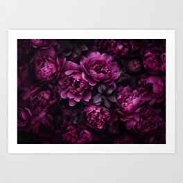 Floral Opulence With Stunning Moody Pink Peonies Art Print