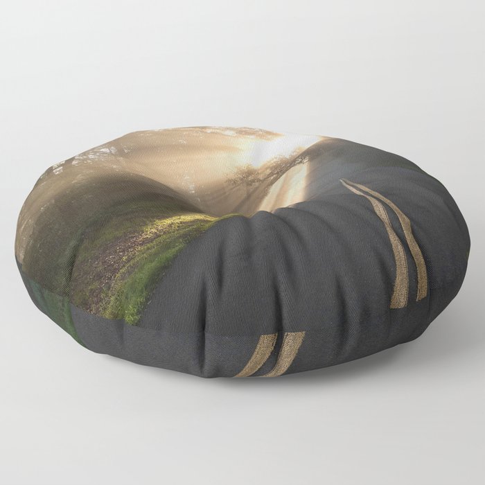 Blue Ridge Mountains - Parkway Rays Floor Pillow