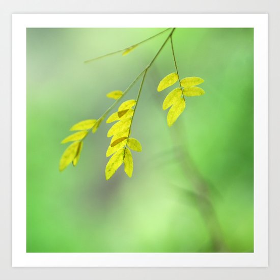 Yellow leaves Art Print