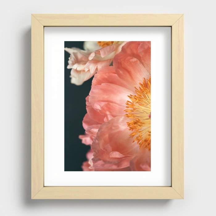 Coral Charm #2 Recessed Framed Print