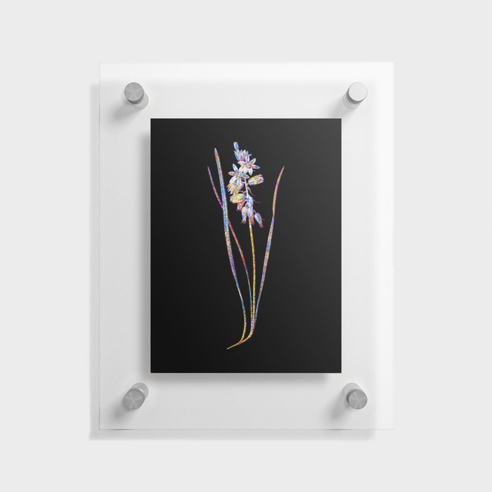 Floral Drooping Star of Bethlehem Mosaic on Black Floating Acrylic Print