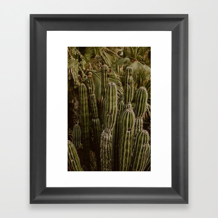 Saguaro Cactus Framed Art Print