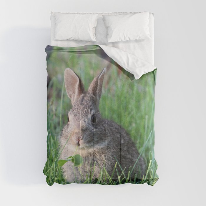 Bunny 4 Comforter