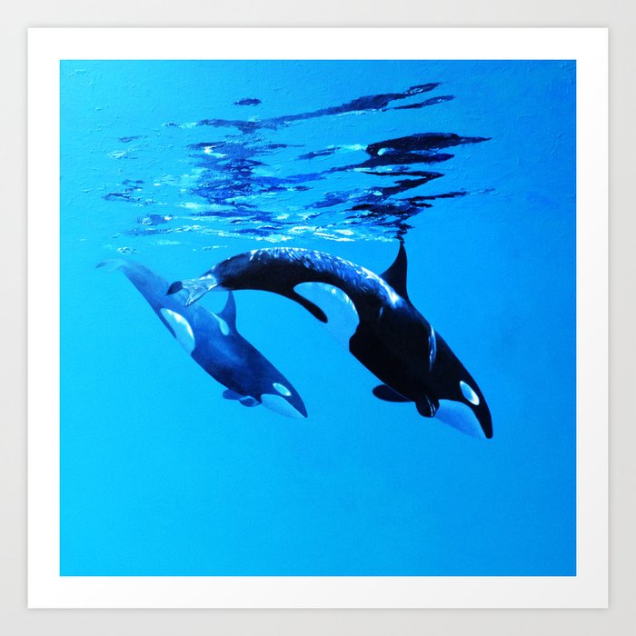 Orcas. Art Print