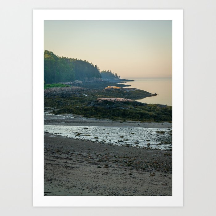 Acadia Beach Landscape Vertical Print Art Print