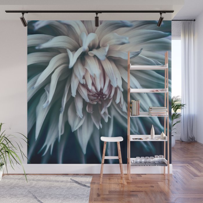 Majestic Cactus Dahlia Kennemerland Wall Mural