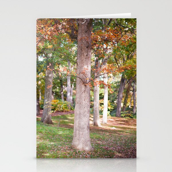 Trees at Wellesley  Stationery Cards