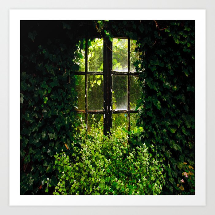 Green idyllic overgrown cottage garden window Kunstdrucke Green idyllic overgrown cottage garden window Kunstdrucke